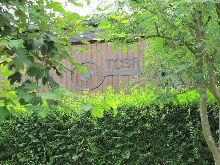 Keiner schneidet das Grün